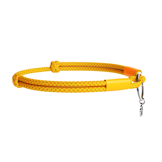 Side angle of TagHug Diamond paracord pet ID collar in orange, highlighting color contrast and ring.