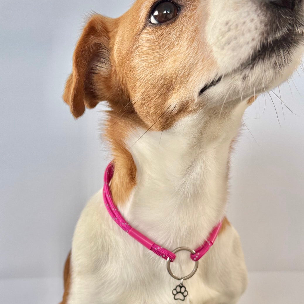 TagHug Reflective Fuchsia paracord ID tag collar, close-up of reflective bright paracord detail.