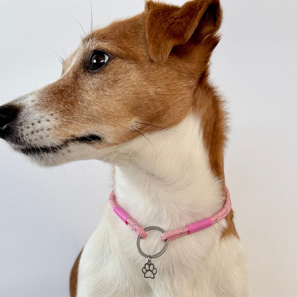 TagHug Reflective Pink paracord collar ID tag holder for dogs and cats. Goes with any collar or harness. 