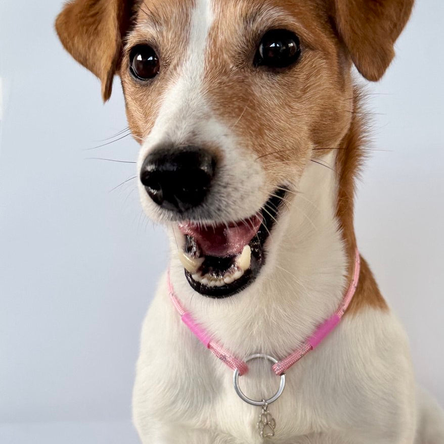 TagHug Reflective Pink paracord ID tag collar, close-up showing reflective pink paracord detail.
