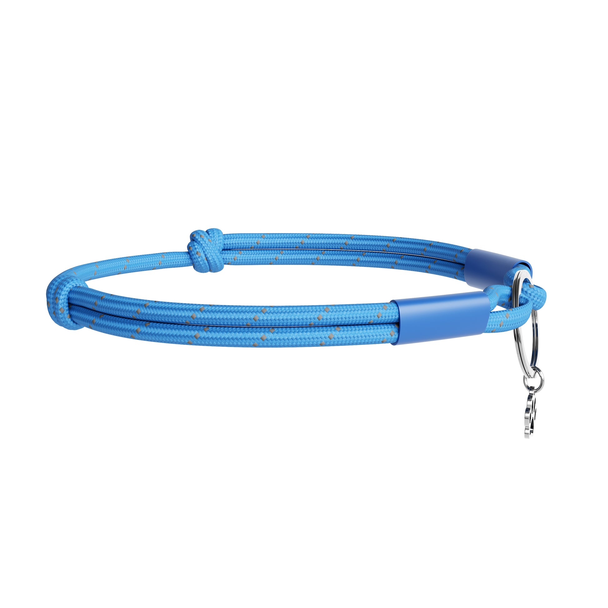 Blue dog leash on a white background