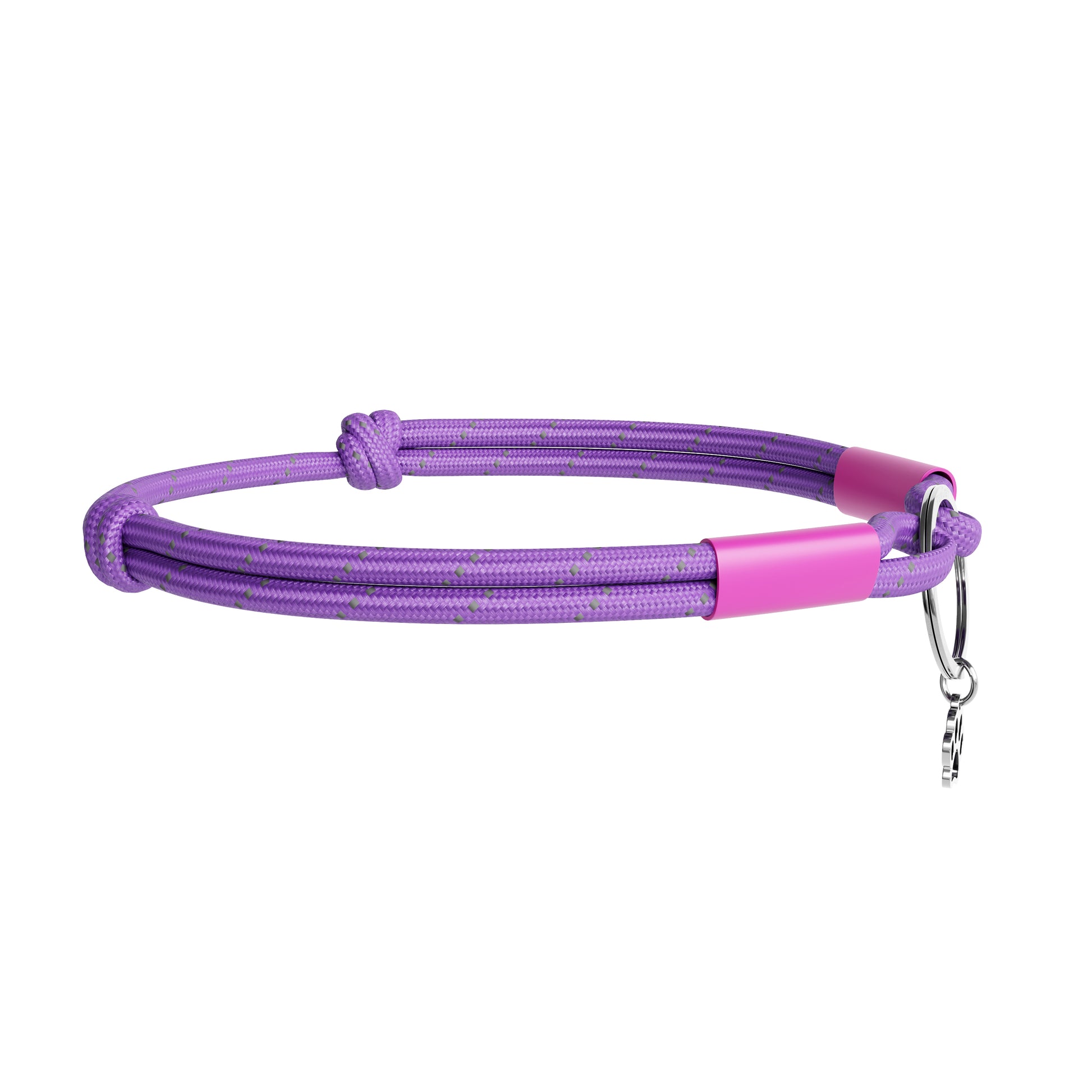 Purple and pink dog leash with a metal clip on a white background