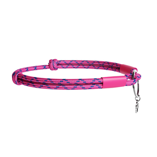 Angled view of TagHug XLine paracord pet ID collar for dogs and cats in pink and blue, showing XLine pattern and metal ring.